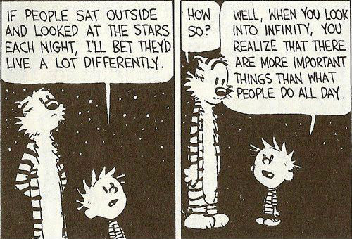 The Wisdom Of Calvin