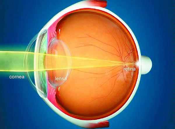 Blurry eyes at the Age of Dusk Health Information