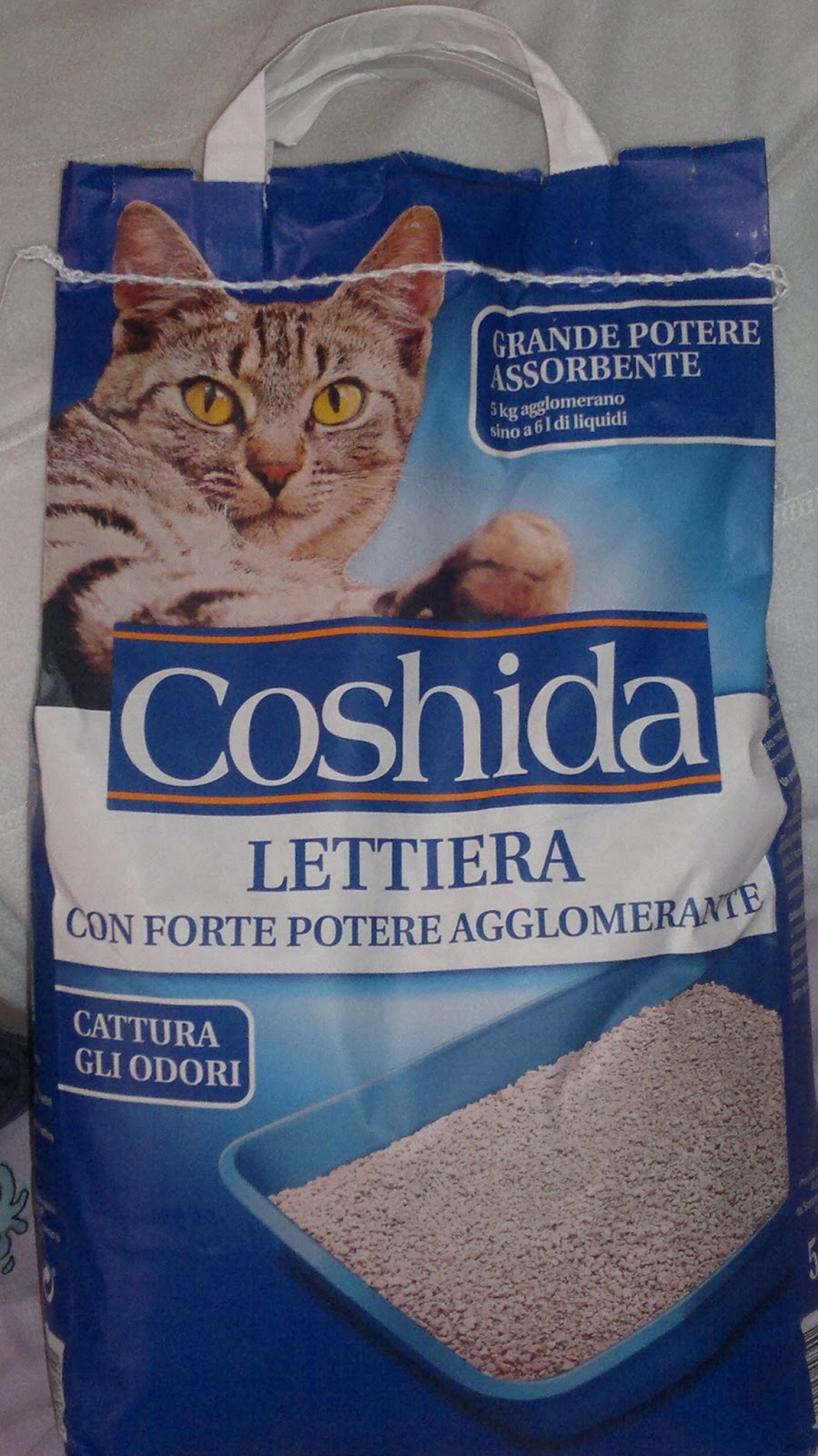 MiciMiao COSHIDA MITICA!!!!