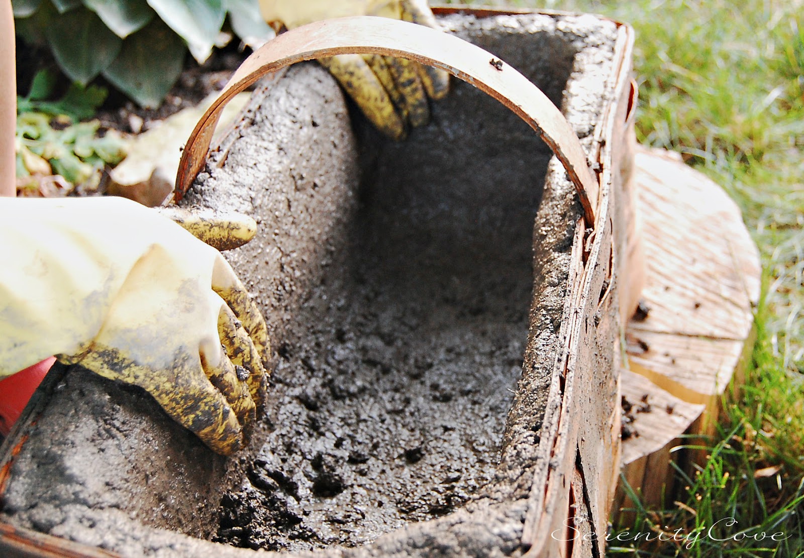Serenity Cove Making a Hypertufa Planter