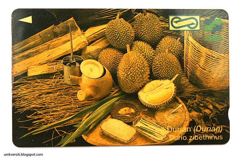 uniphonekad durian durio zibethinus