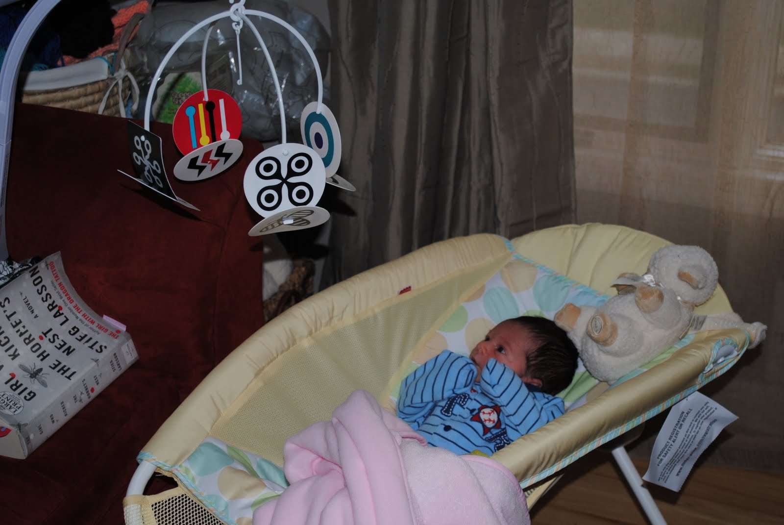 Parent to Parent Fisher Price Rock 'n Play Sleeper