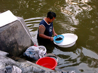 BUSCADORES DE ORO EN LOS CANALES DE BANGKOK. TAILANDIA