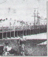 Early 19th century image of the Charles River Bridge