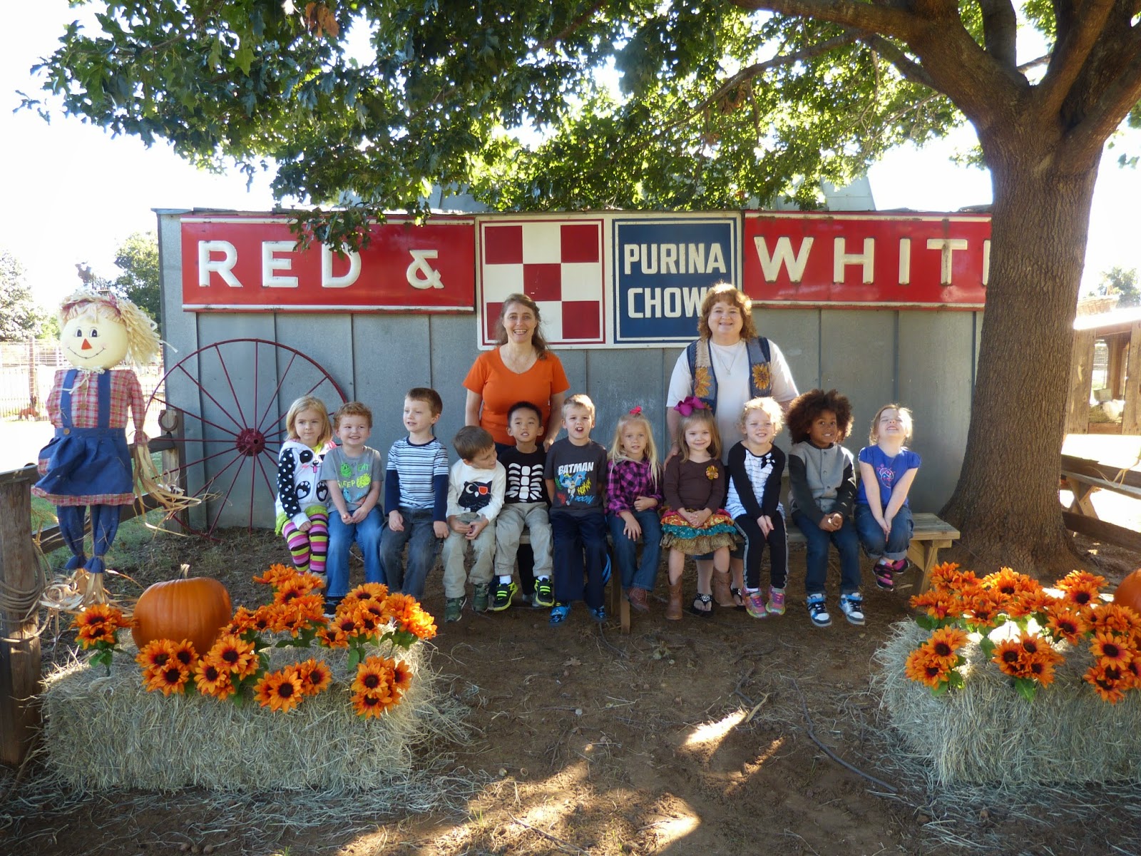 Paula's Primary Classroom Lowes Miniature Farm Field Trip!