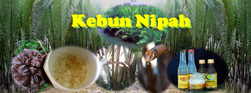 kebun nipah