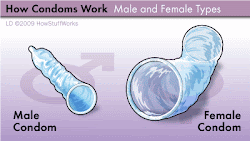 male and female condoms