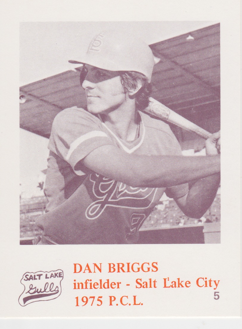Number 5 Type Collection 1975 Caruso Salt Lake Gulls Baseball 5, Dan