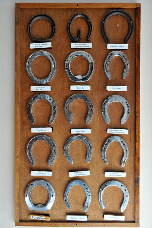 Weddings Portraits Events