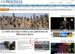 El ayuntamiento bipolar de Las Palmas de Gran Canaria y sus palmeras