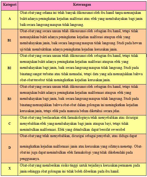 Wanna write something....: Pengaruh obat pada Kehamilan