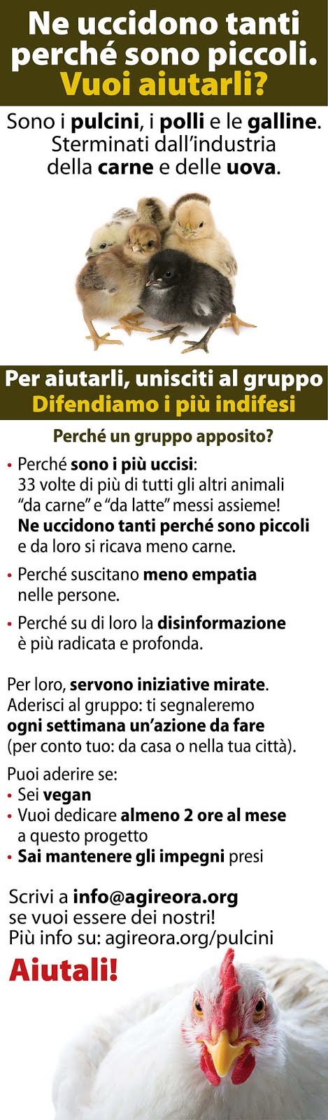 NUMERI: I PULCINI, POLLI E GALLINE = I PIU' UCCISI. Un Gruppo per Salvarli