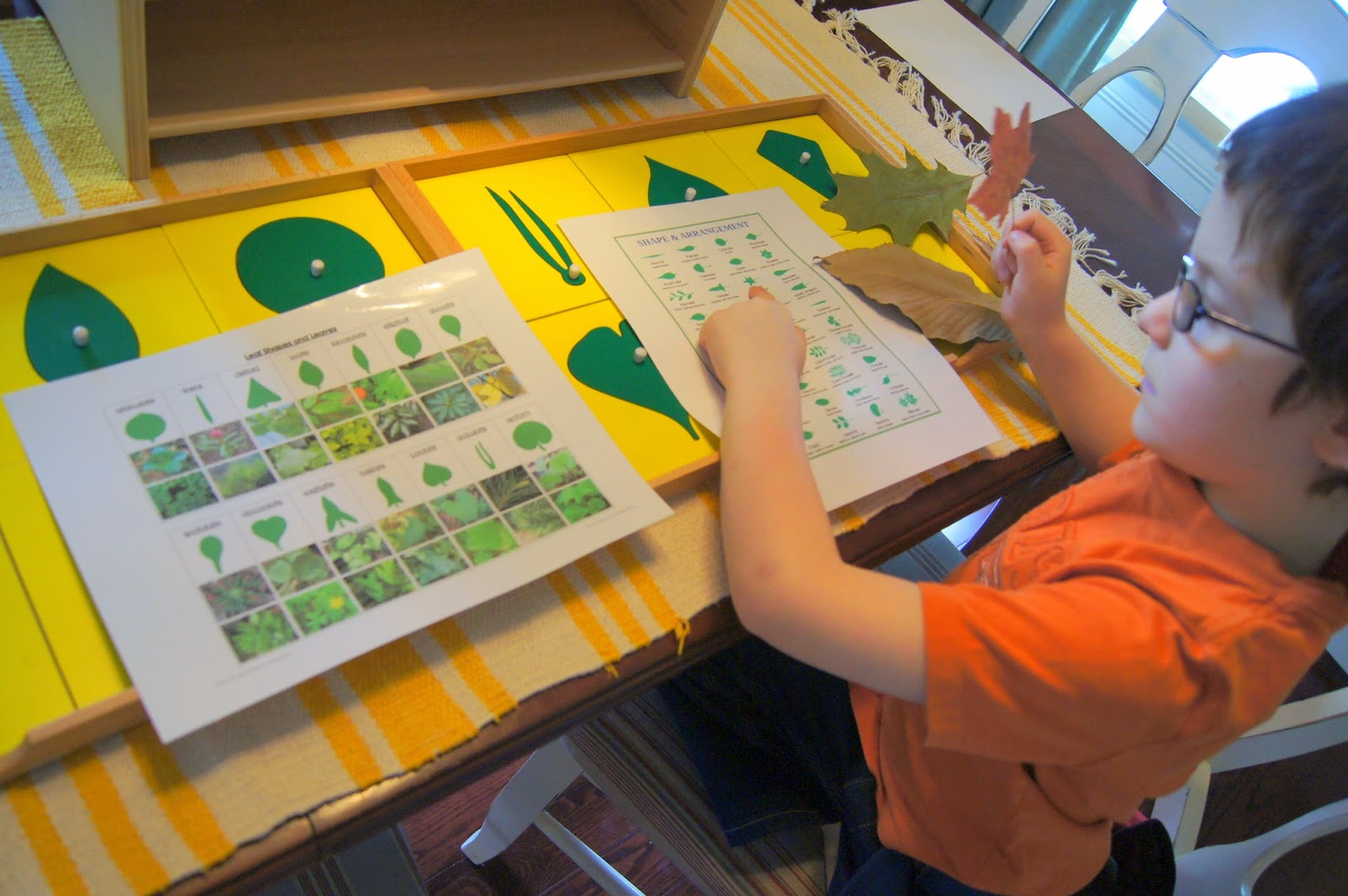 Botany or bust image