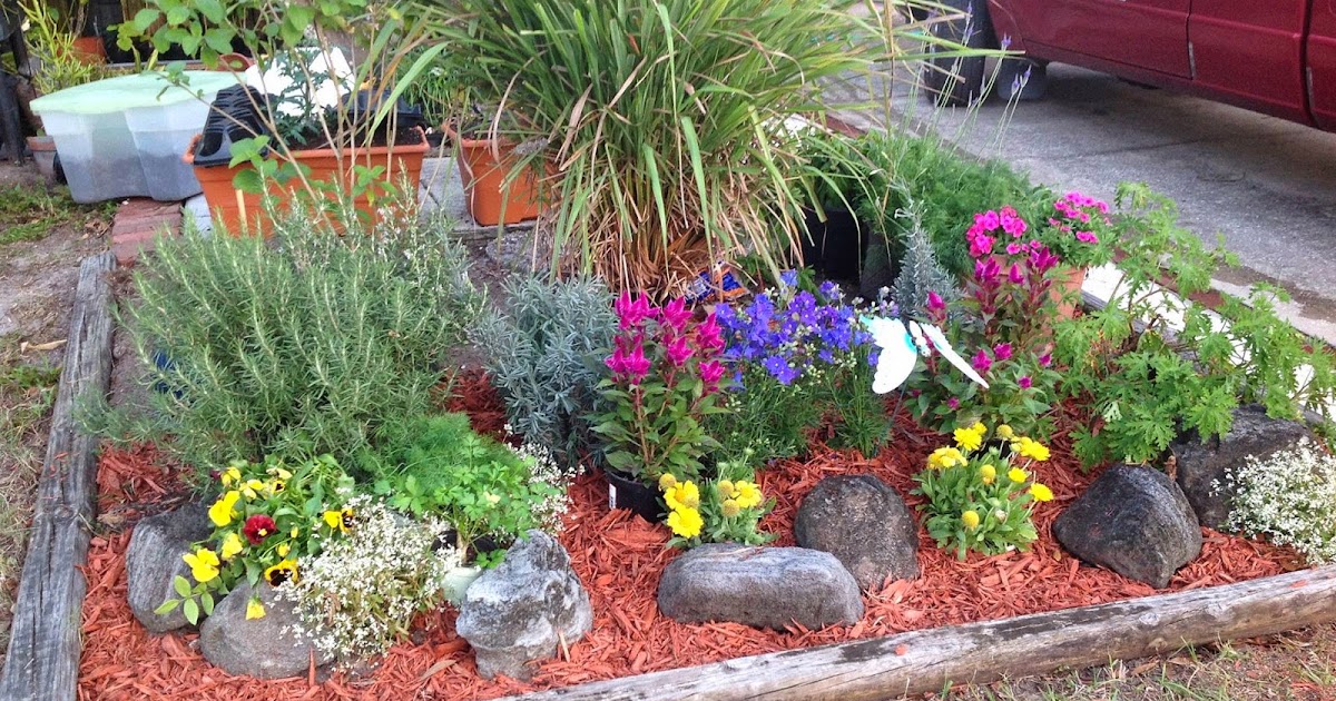 HeyPlantMan! Exotic Tropical Plants from St. Pete FL: Gamble Mansion