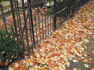 Madison fall leaves