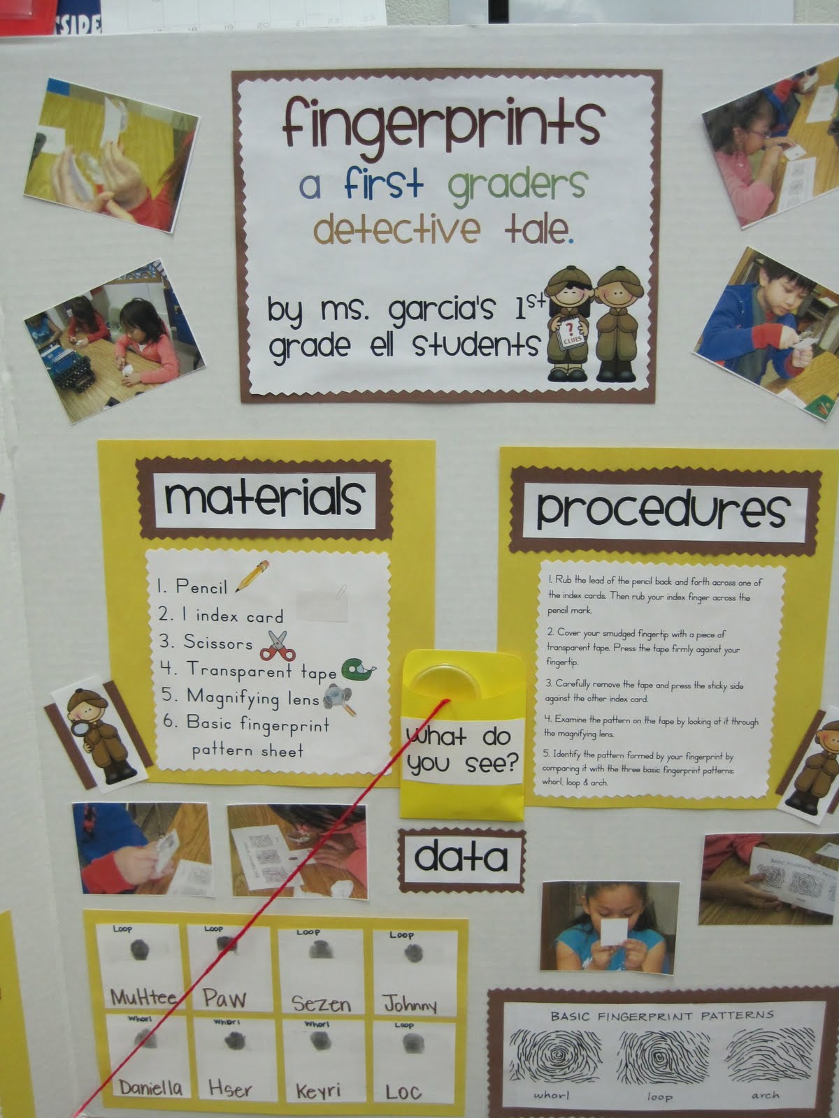 Ms.M's Blog Science Fair Projects