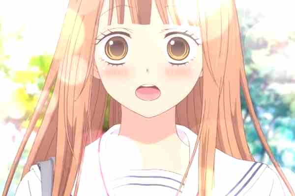 Download HD Wallpaper For Free