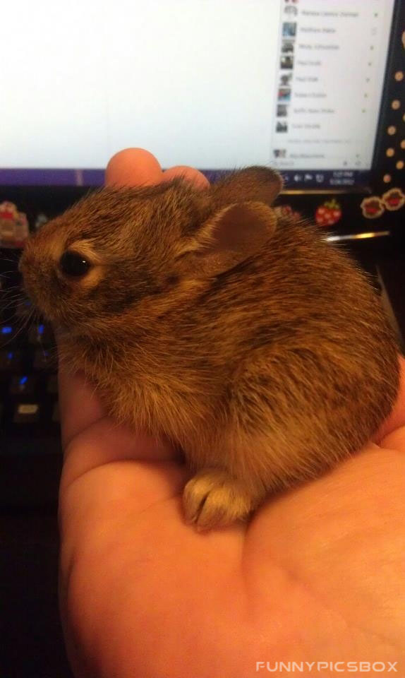 free chatting with friends in india