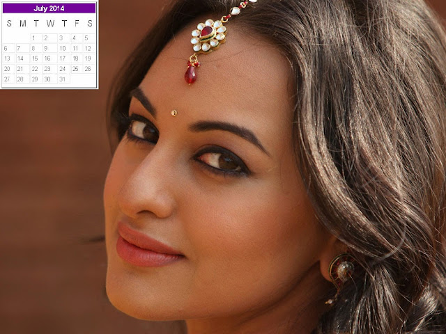 Sonakshi Sinha Calendar 2014