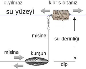 Kıbrıs oltas - Gezen Olta Balık
