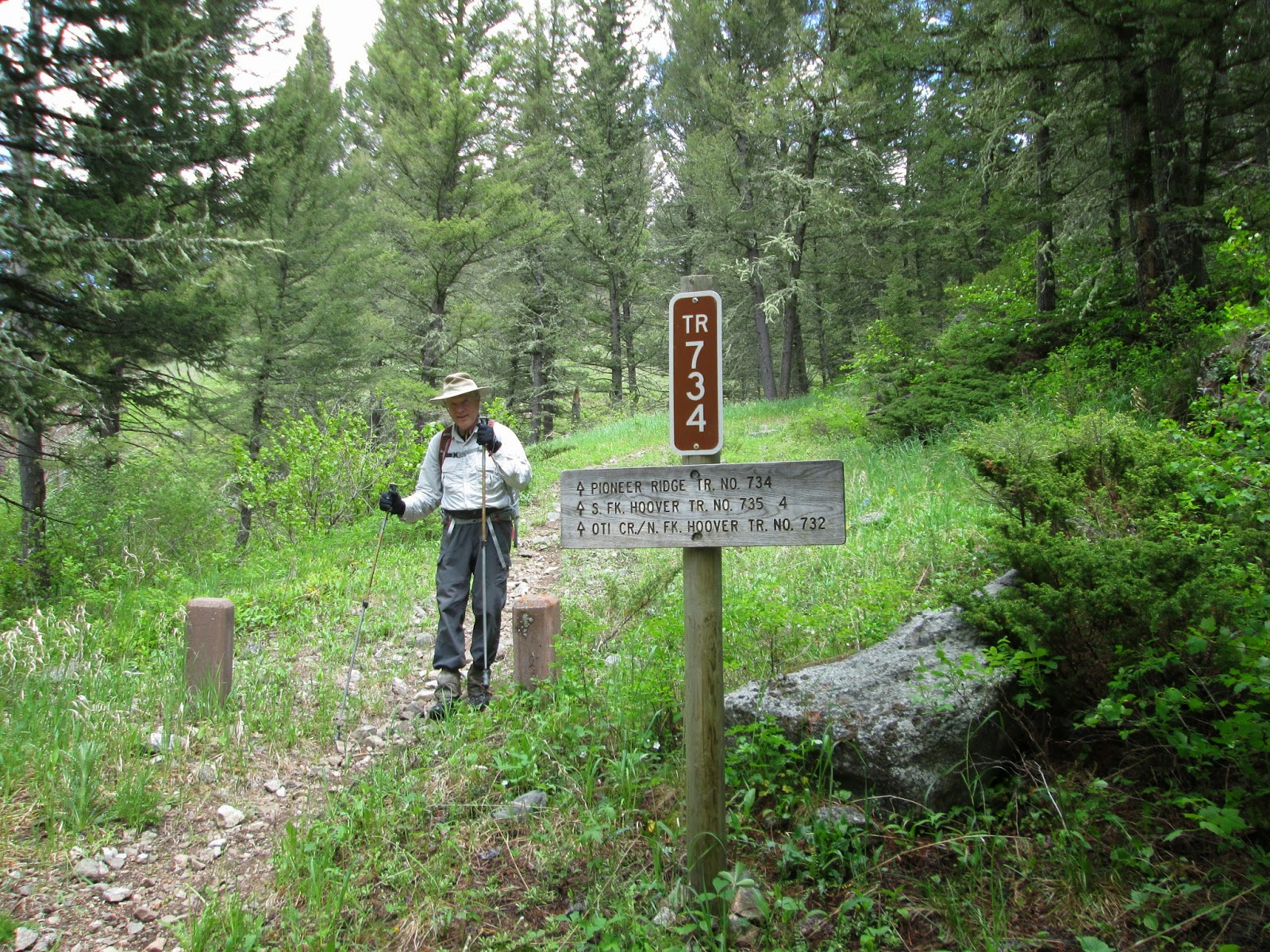 Out there with Tom Pioneer Ridge training hike