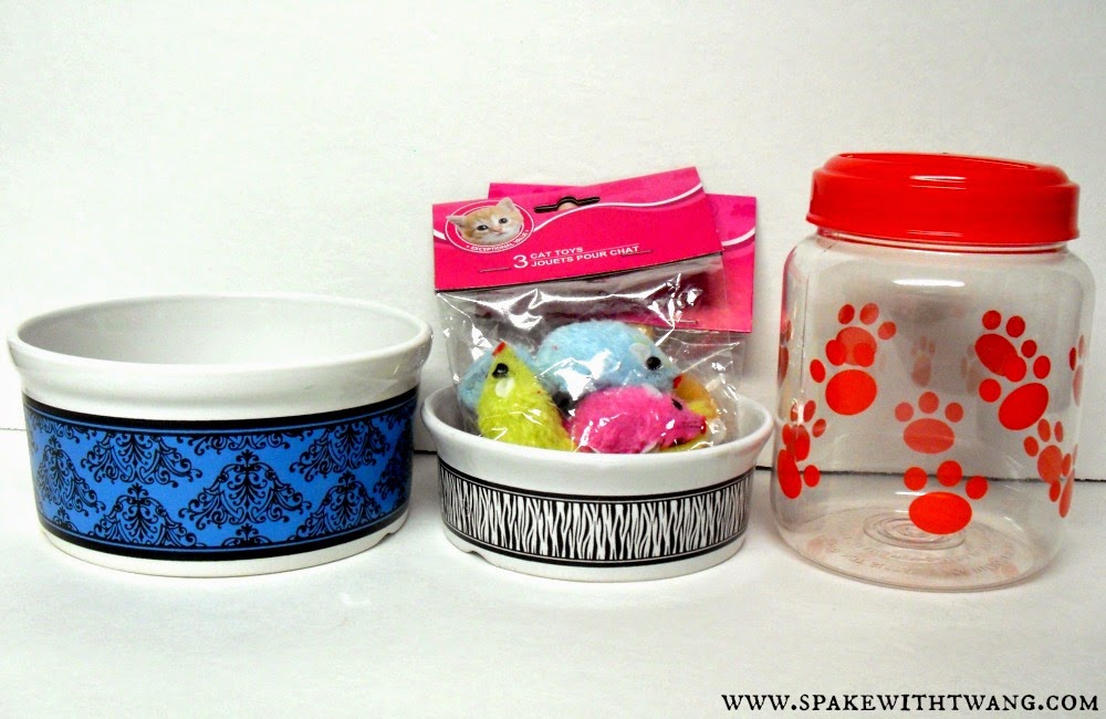 Spake With Twang Dollar Tree Haul