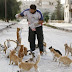 Μάθημα φιλοζωίας από τη Συρία! Oι 150 γάτες του  Alaa...