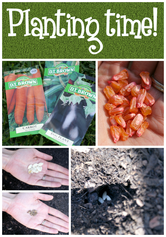 Southern In Law How to Make Your Own Raised Veggie Patch!