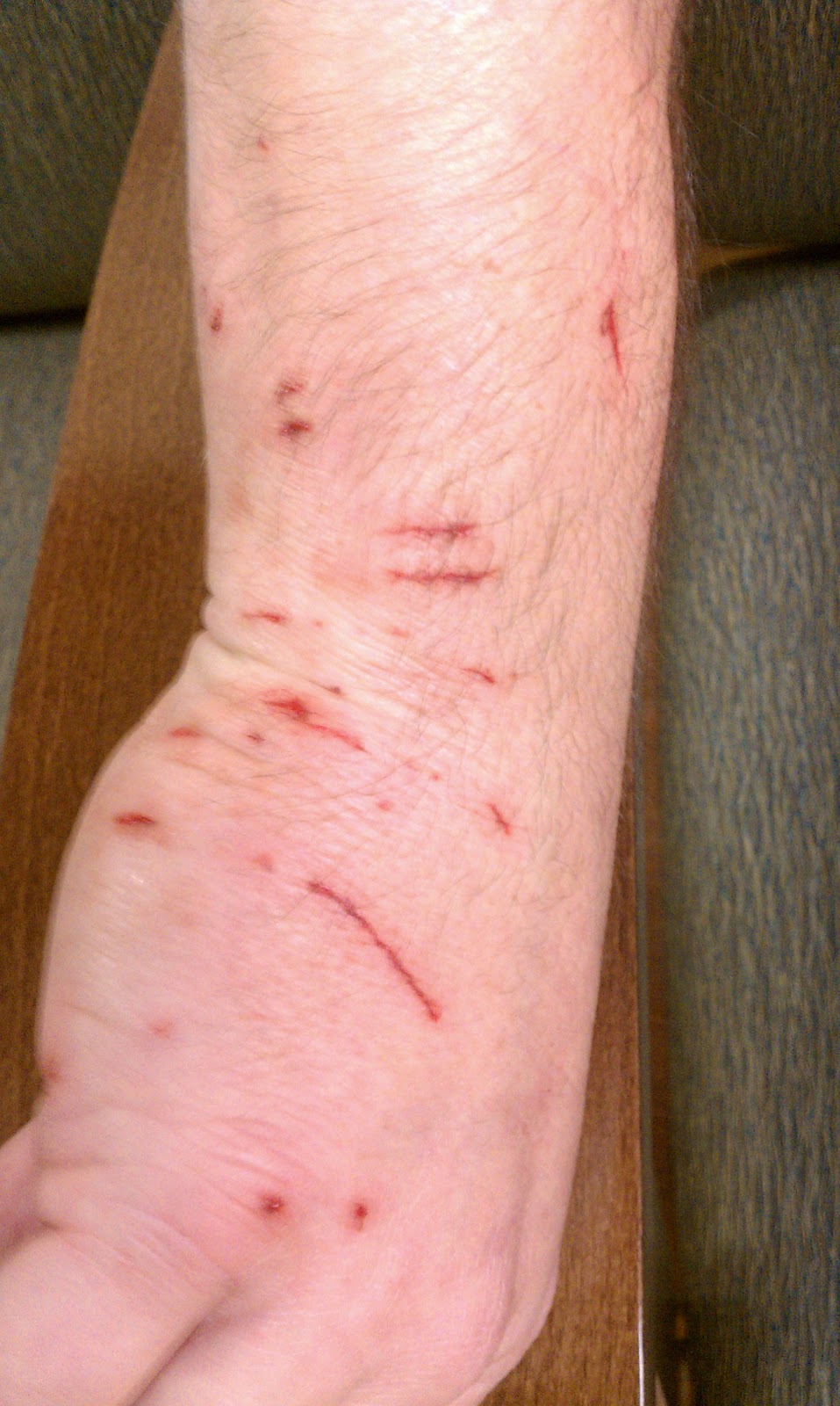 Soak it all in A Cajun Christmas week