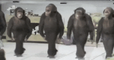 dancing+monkeys.gif