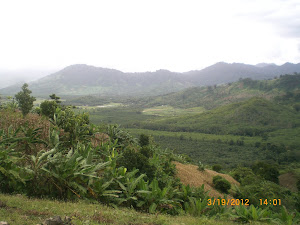 gandok dari proliman