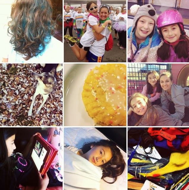 Upcycled Education Life Updated Blue Hair Edition