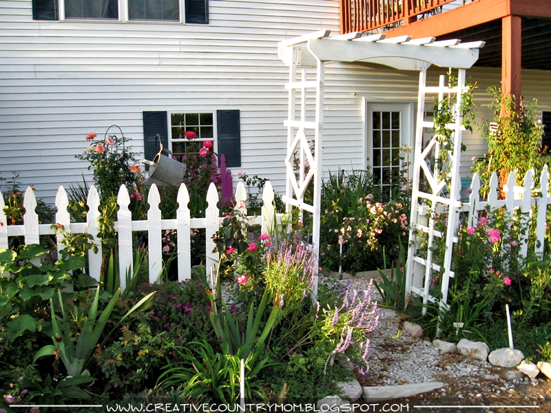 Creative Country Mom: A Big, Huge Rose Garden Post!!