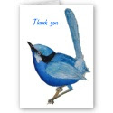 Blue Bird Thank You Note Card