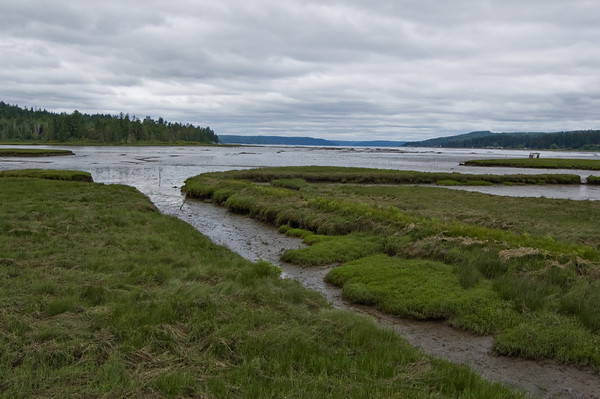 Kitcat Homeschoolers Resources