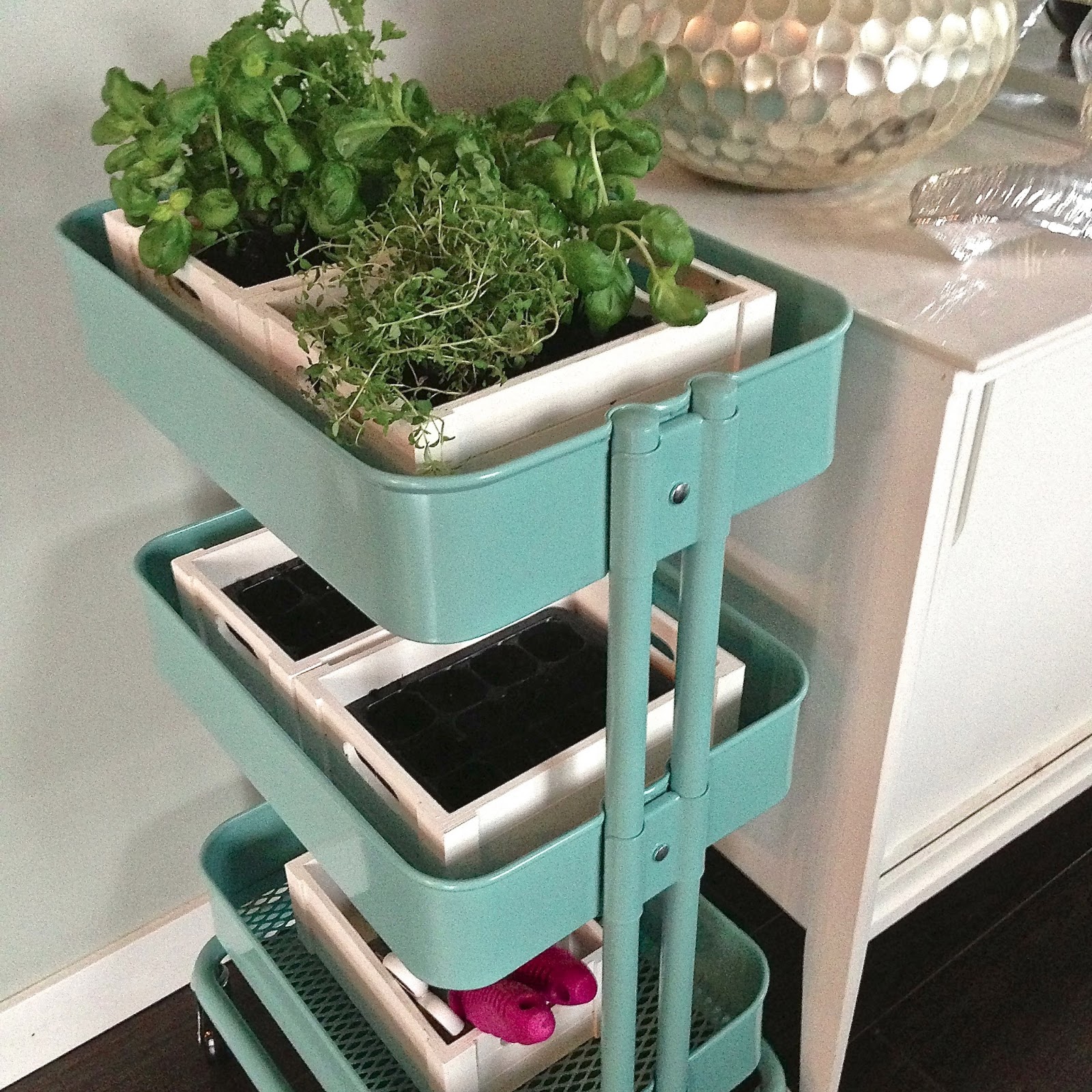 Pinterest Challenge Bar Cart Herb Garden