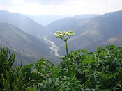 Cañón del Chicamocha