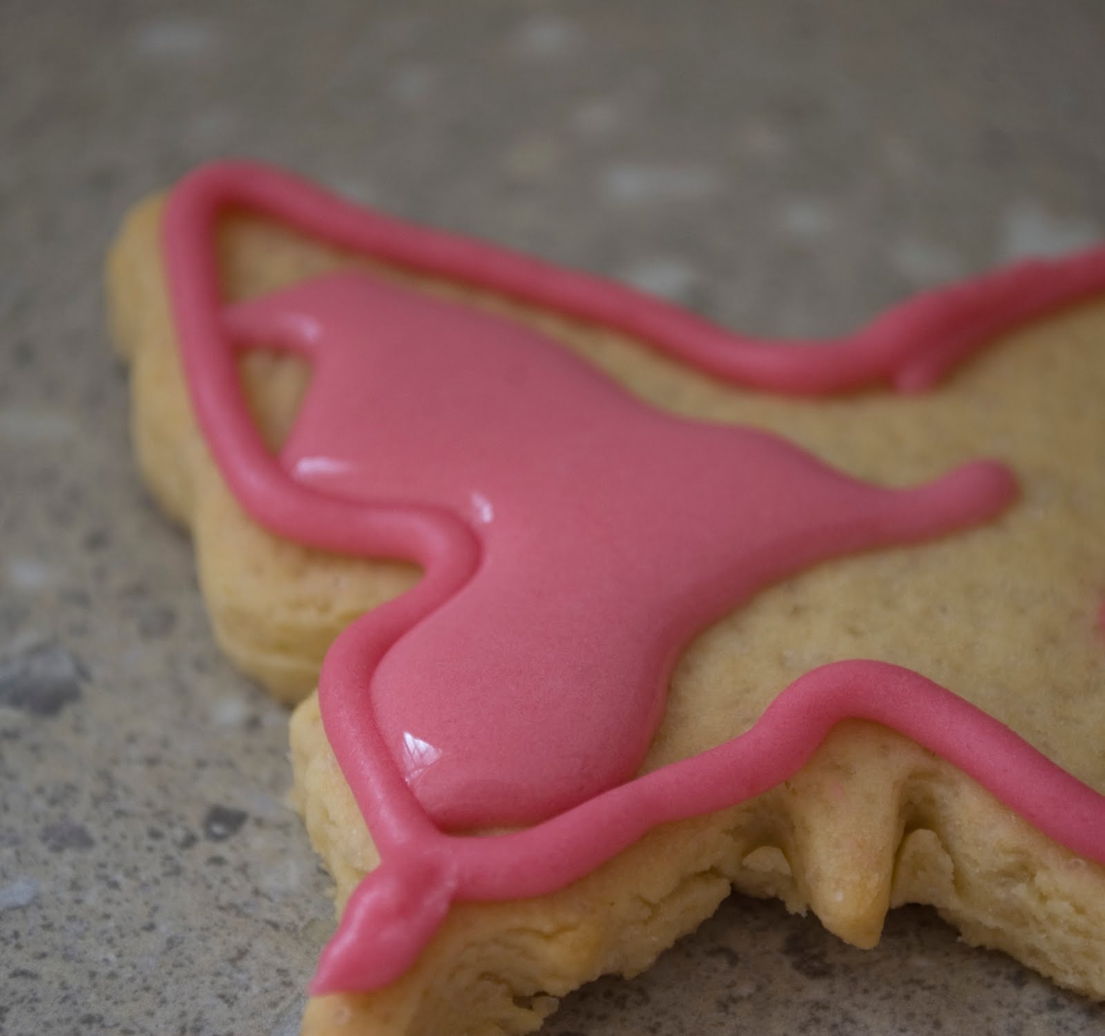 Grace Designs Tips for Icing Biscuits