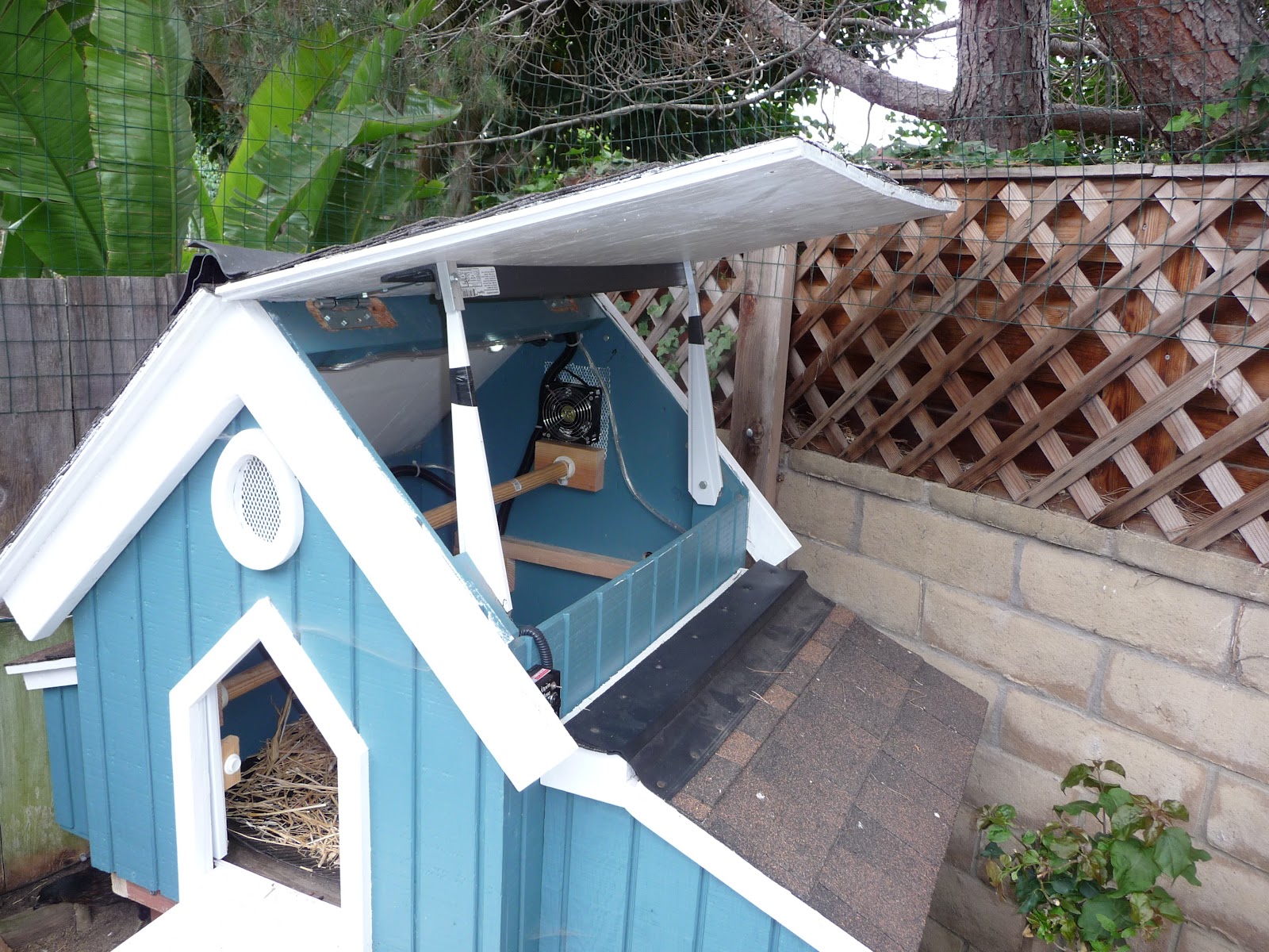 dog house hinged roof plans noten animals P1100360 dog house hinged roof plans noten animals,Dog House Plans With Hinged Roof