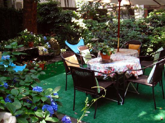 Garden Of Aaron Help Wanted Best Quick Privacy Screening Shrubs