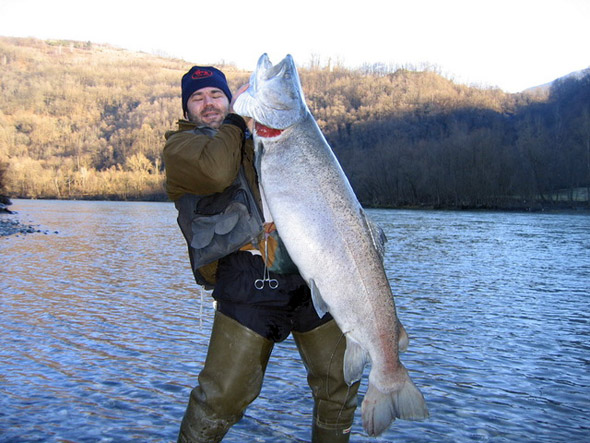 Mladica (Hucho hucho)