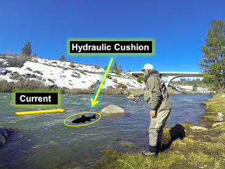 Purchase Educational Fly Fishing Multi Media