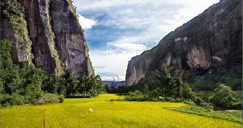 Masa Depan Yang Akan Tercapai Pengertian&amp;Jenis Erosi Lengkap