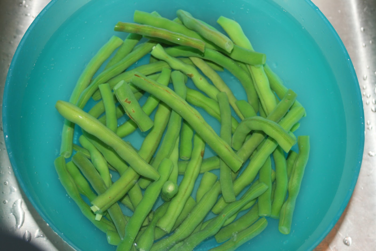 The Little Backyard Farm Freezing green beans