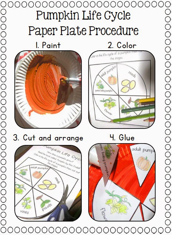 Paper Plate Pumpkin Life Cycle