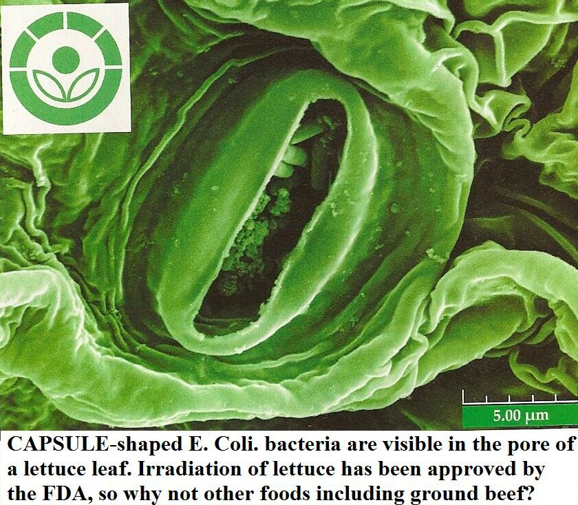 Brane Space Time To Allow General Irradiation of All Foods?