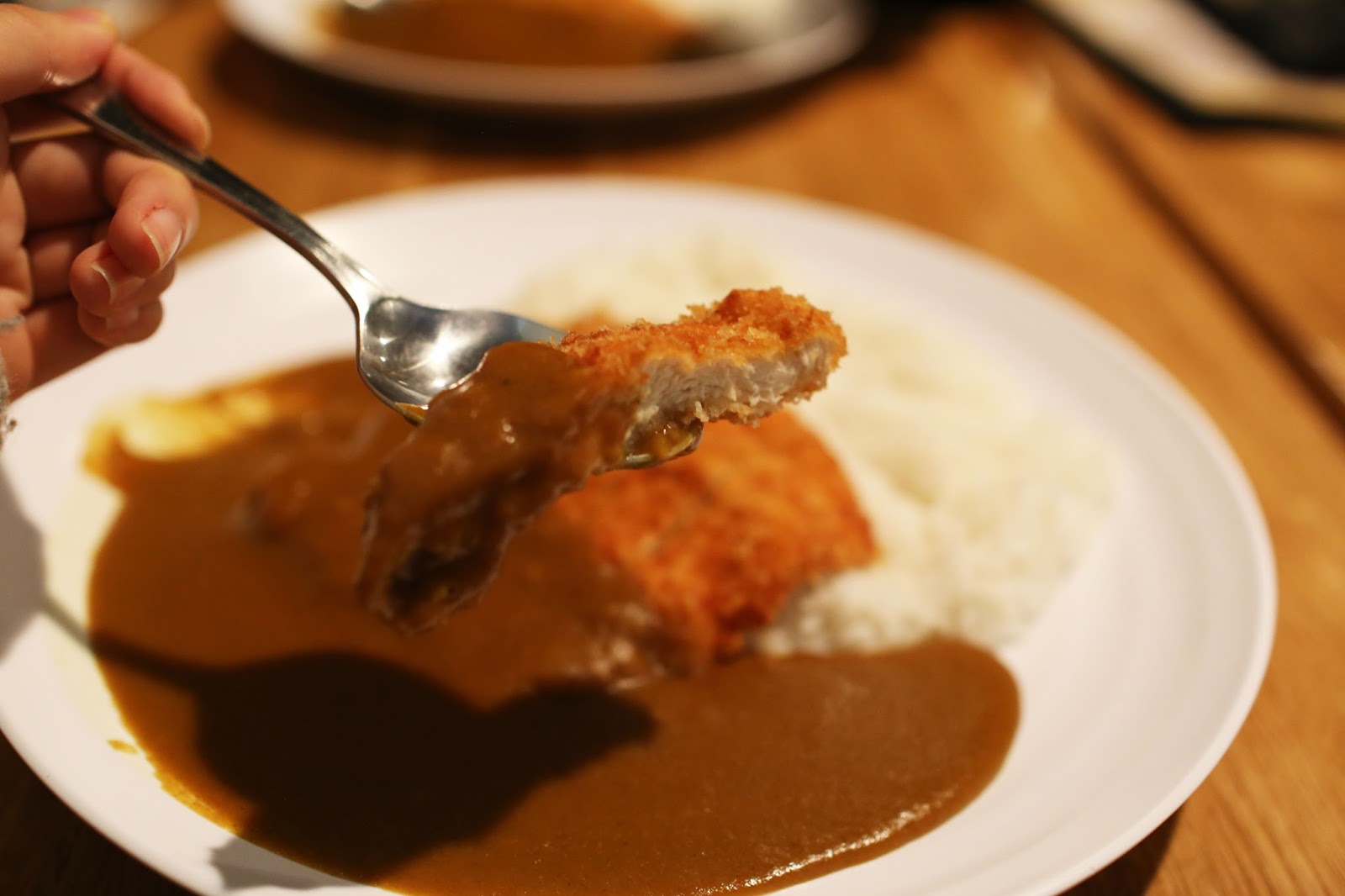Japanese Foodie Katsu Curry at Curry Zen, Las Vegas USA