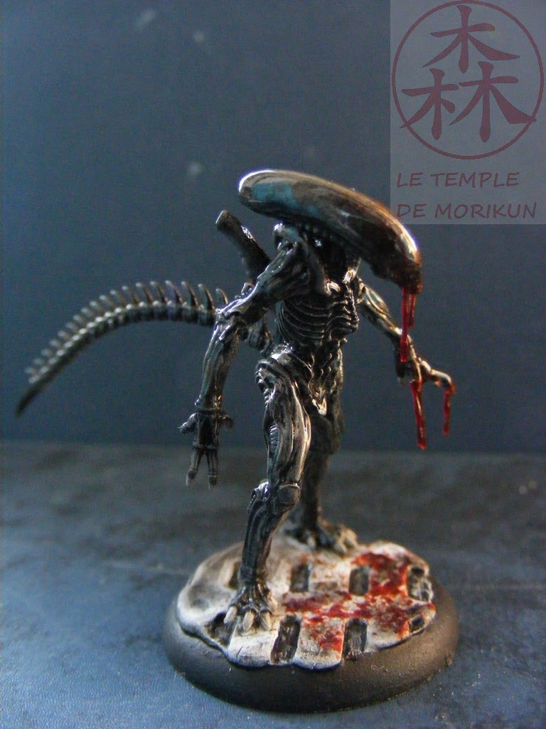 [Image: AVP%2B19%2B%252823%2529.JPG]