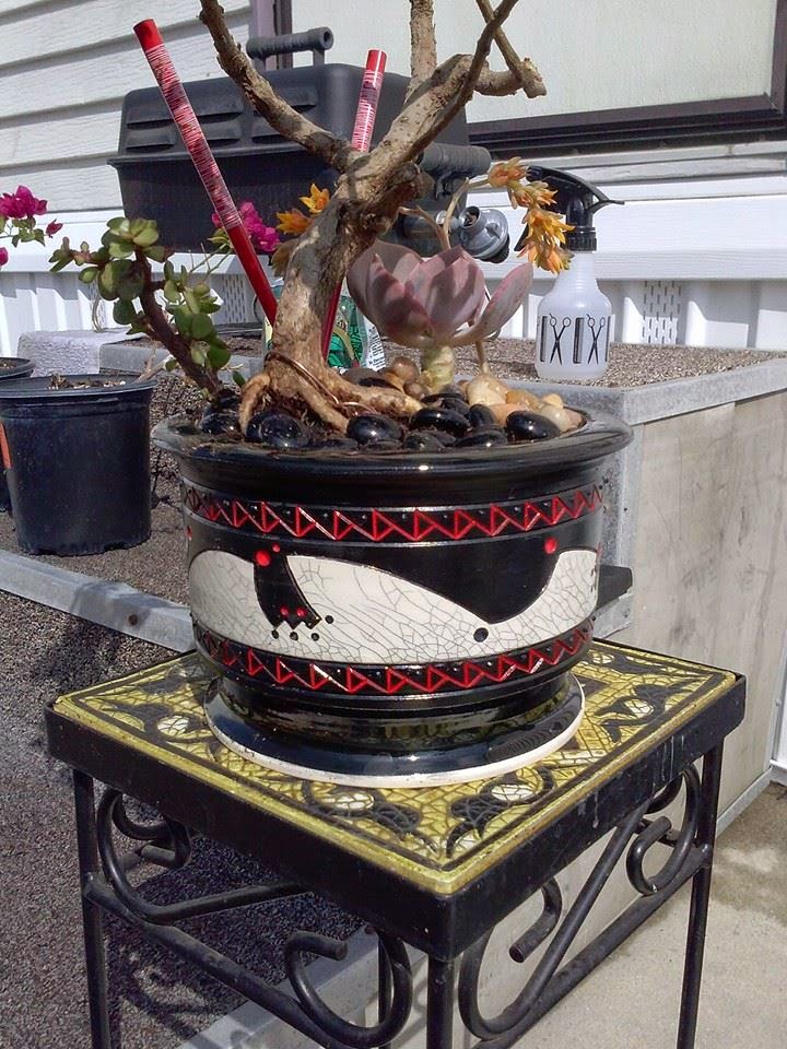 Handmade Ceramic Bonsai Pots by Matthew Kennedy