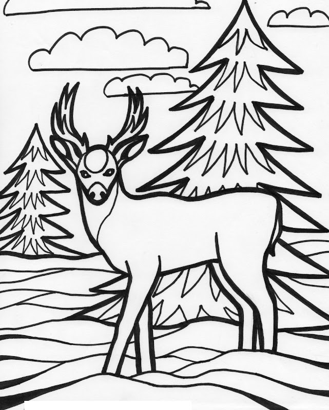 For Education New Animal Deer Coloring Pages title=
